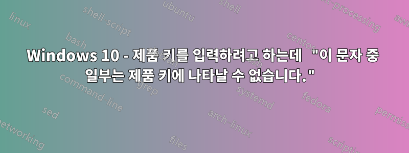 Windows 10 - 제품 키를 입력하려고 하는데 "이 문자 중 일부는 제품 키에 나타날 수 없습니다."