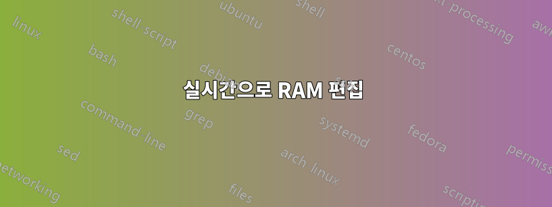 실시간으로 RAM 편집