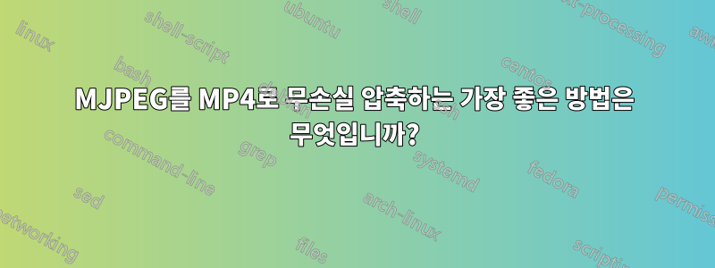 MJPEG를 MP4로 무손실 압축하는 가장 좋은 방법은 무엇입니까?