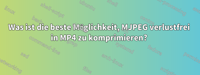 Was ist die beste Möglichkeit, MJPEG verlustfrei in MP4 zu komprimieren?