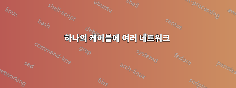 하나의 케이블에 여러 네트워크