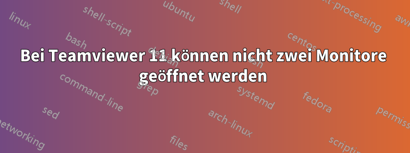 Bei Teamviewer 11 können nicht zwei Monitore geöffnet werden