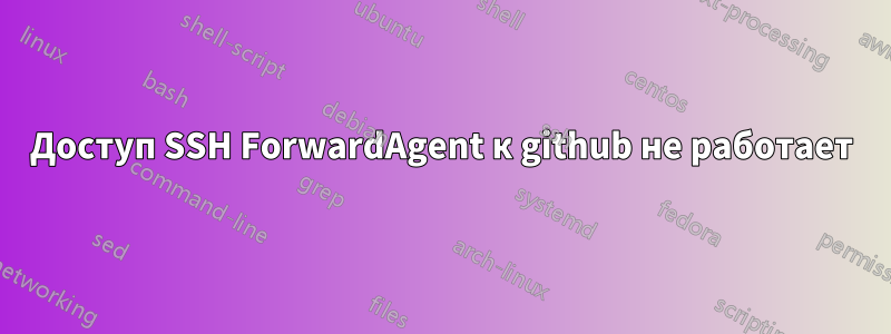Доступ SSH ForwardAgent к github не работает