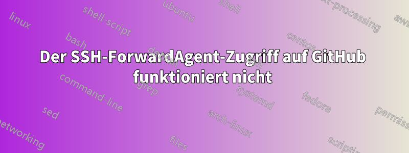 Der SSH-ForwardAgent-Zugriff auf GitHub funktioniert nicht