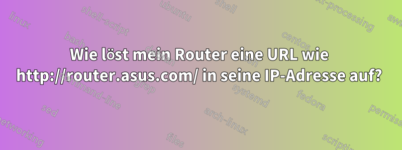 Wie löst mein Router eine URL wie http://router.asus.com/ in seine IP-Adresse auf?