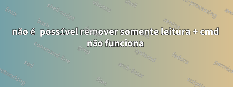 não é possível remover somente leitura + cmd não funciona