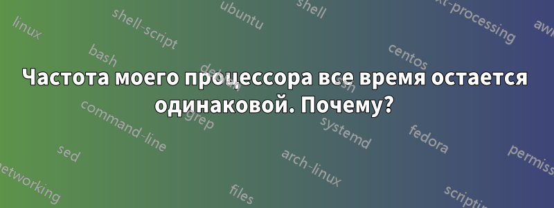 Частота моего процессора все время остается одинаковой. Почему?