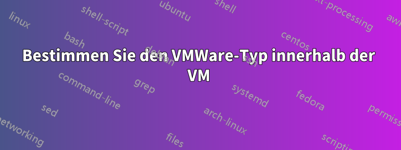 Bestimmen Sie den VMWare-Typ innerhalb der VM