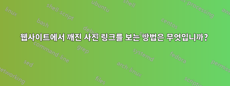 웹사이트에서 깨진 사진 링크를 보는 방법은 무엇입니까?