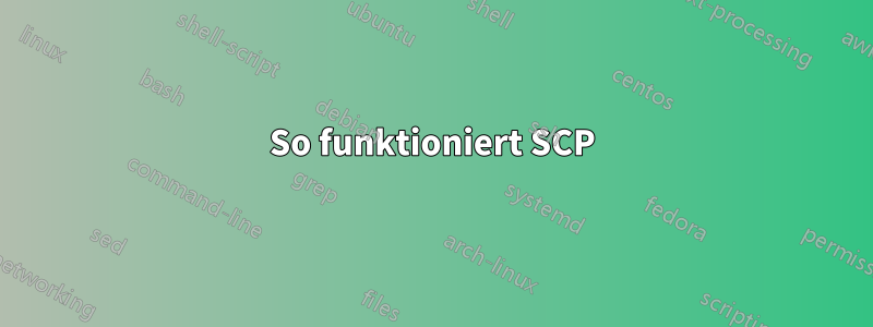 So funktioniert SCP