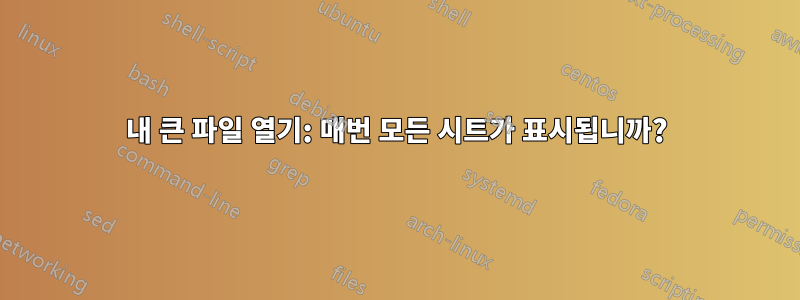 내 큰 파일 열기: 매번 모든 시트가 표시됩니까?