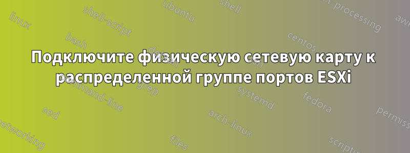 Подключите физическую сетевую карту к распределенной группе портов ESXi