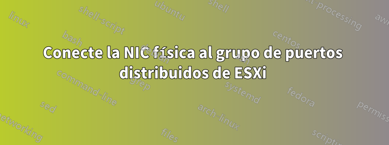 Conecte la NIC física al grupo de puertos distribuidos de ESXi