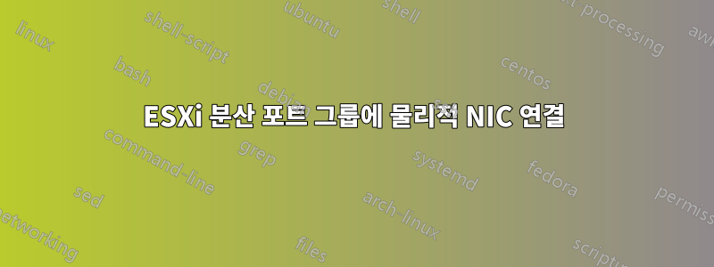 ESXi 분산 포트 그룹에 물리적 NIC 연결