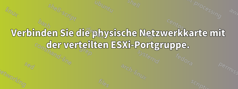 Verbinden Sie die physische Netzwerkkarte mit der verteilten ESXi-Portgruppe.