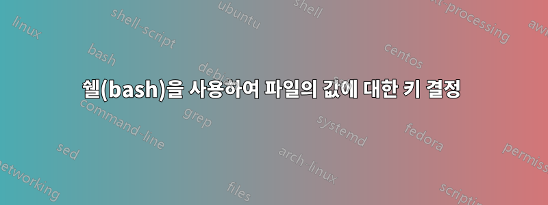 쉘(bash)을 사용하여 파일의 값에 대한 키 결정