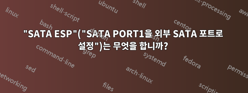 "SATA ESP"("SATA PORT1을 외부 SATA 포트로 설정")는 무엇을 합니까?