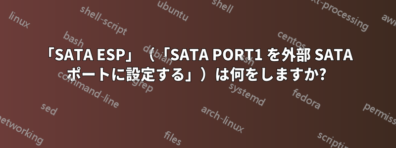 「SATA ESP」（「SATA PORT1 を外部 SATA ポートに設定する」）は何をしますか?