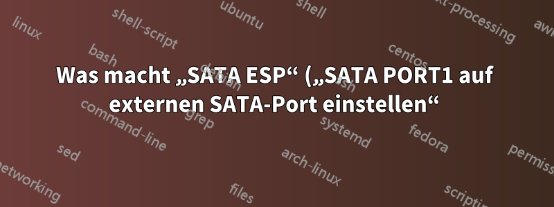 Was macht „SATA ESP“ („SATA PORT1 auf externen SATA-Port einstellen“)?