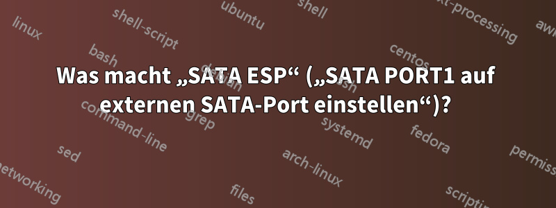 Was macht „SATA ESP“ („SATA PORT1 auf externen SATA-Port einstellen“)?