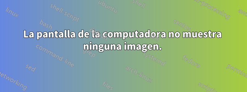 La pantalla de la computadora no muestra ninguna imagen.