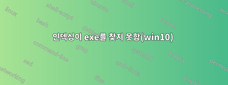 인덱싱이 exe를 찾지 못함(win10)