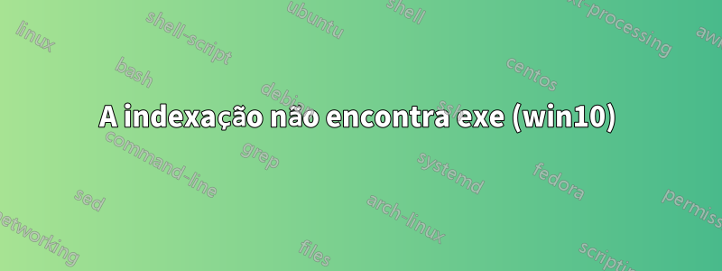 A indexação não encontra exe (win10)