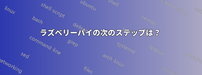 ラズベリーパイの次のステップは？