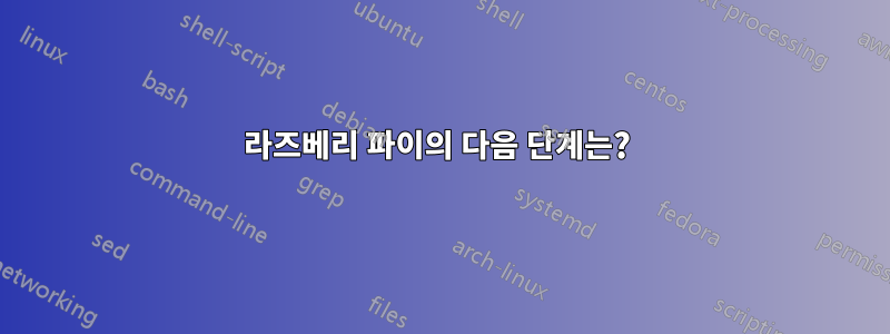 라즈베리 파이의 다음 단계는? 