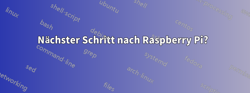 Nächster Schritt nach Raspberry Pi? 