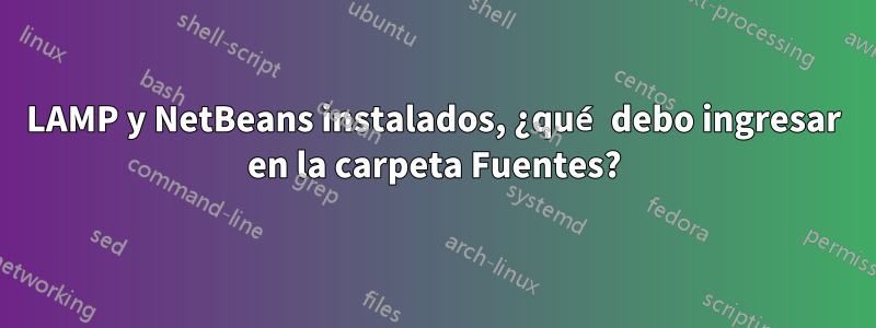 LAMP y NetBeans instalados, ¿qué debo ingresar en la carpeta Fuentes?