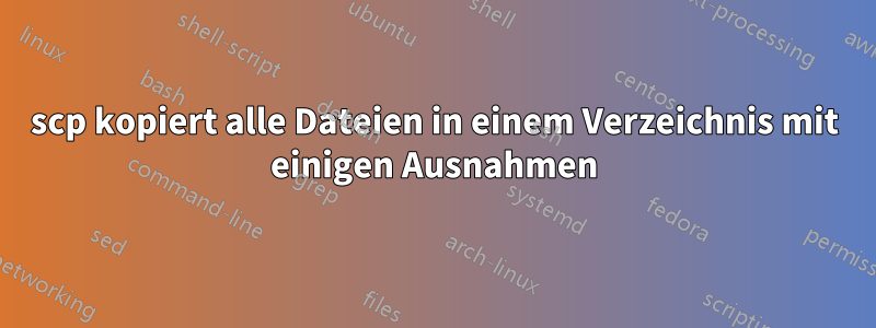 scp kopiert alle Dateien in einem Verzeichnis mit einigen Ausnahmen