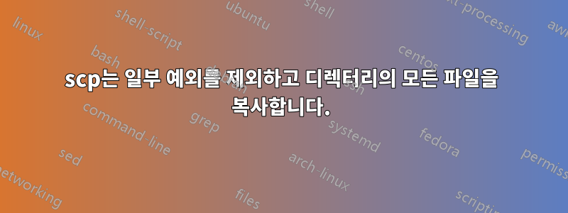 scp는 일부 예외를 제외하고 디렉터리의 모든 파일을 복사합니다.