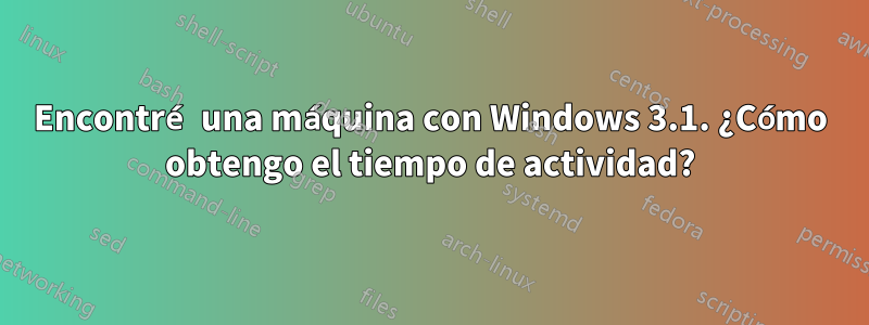 Encontré una máquina con Windows 3.1. ¿Cómo obtengo el tiempo de actividad?