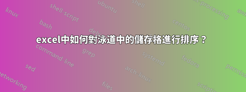 excel中如何對泳道中的儲存格進行排序？