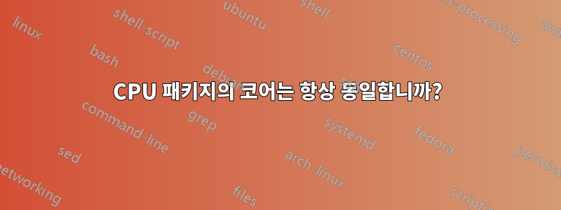 CPU 패키지의 코어는 항상 동일합니까?