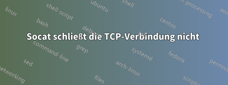 Socat schließt die TCP-Verbindung nicht