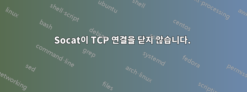 Socat이 TCP 연결을 닫지 않습니다.