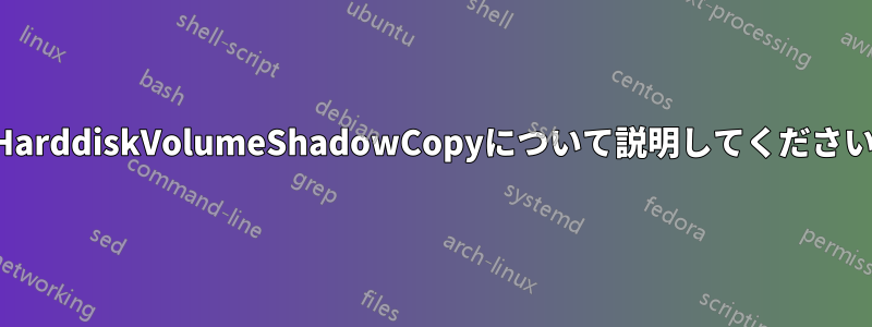 HarddiskVolumeShadowCopyについて説明してください