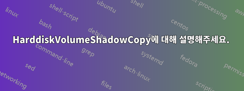 HarddiskVolumeShadowCopy에 대해 설명해주세요.