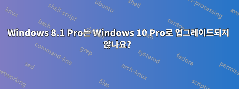 Windows 8.1 Pro는 Windows 10 Pro로 업그레이드되지 않나요? 