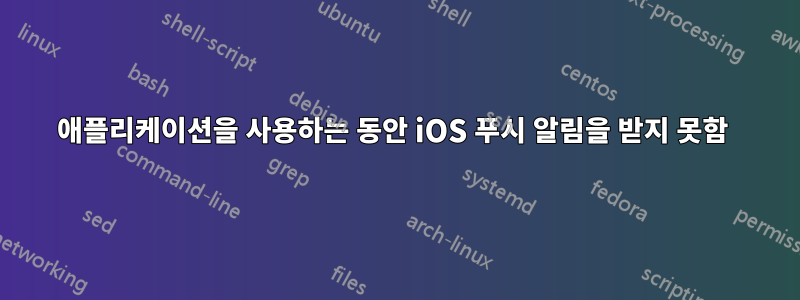 애플리케이션을 사용하는 동안 iOS 푸시 알림을 받지 못함 