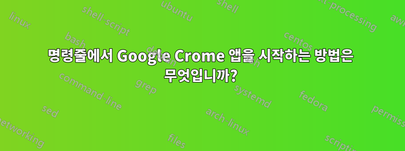 명령줄에서 Google Crome 앱을 시작하는 방법은 무엇입니까?