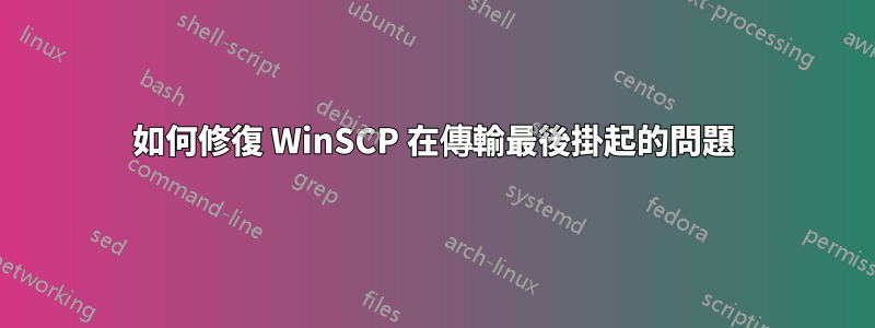 如何修復 WinSCP 在傳輸最後掛起的問題