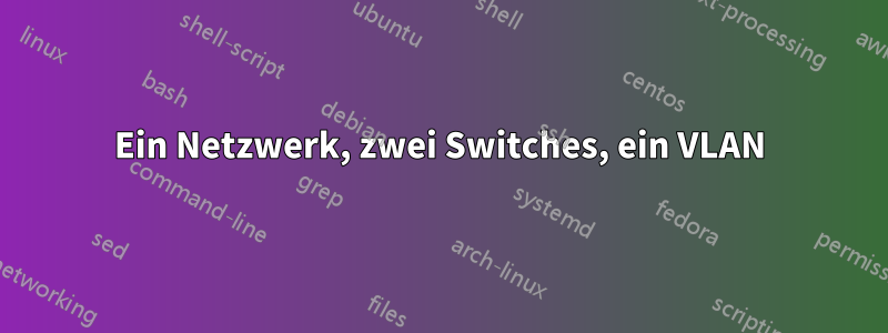 Ein Netzwerk, zwei Switches, ein VLAN