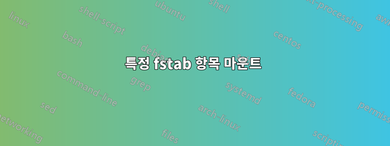 특정 fstab 항목 마운트