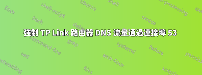 強制 TP Link 路由器 DNS 流量通過連接埠 53