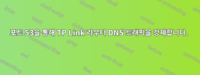 포트 53을 통해 TP Link 라우터 DNS 트래픽을 강제합니다.