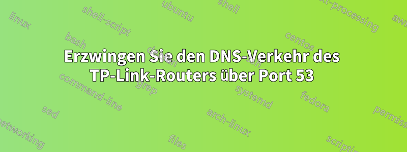 Erzwingen Sie den DNS-Verkehr des TP-Link-Routers über Port 53