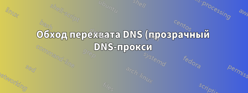 Обход перехвата DNS (прозрачный DNS-прокси) с DNSMasq